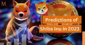 predictions of shiba inu