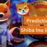 predictions of shiba inu