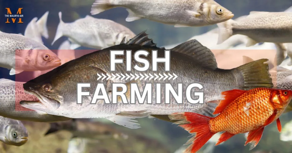 FISH FARMING