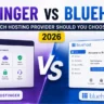 Hostinger vs Bluehost